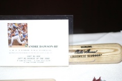 297_NASA_Silent_Auction_12-05-08_010